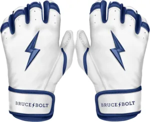 Read more about the article Top Batting Gloves for Youth Baseball